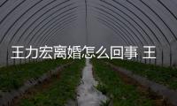 王力宏离婚怎么回事 王力宏为什么离婚有几个孩子