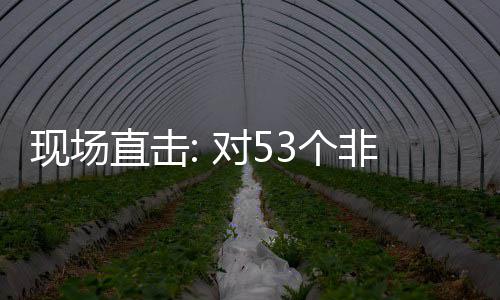 面实直击通关3个国全关税全国建交货物现场施零首票深圳对5非洲
