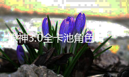 爆料0全0全角色角色卡池卡池原神有哪些 信息