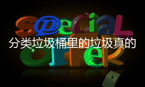 垃圾吗桶里圾真的垃的会分类分类处置