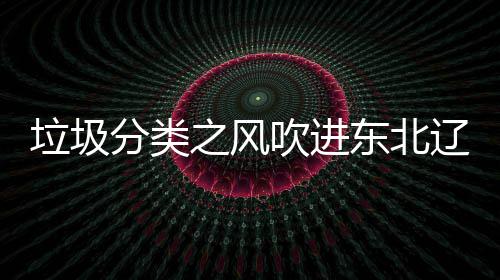 垃圾辽宁类垃之风启用圾桶沈阳四分东北分类吹进