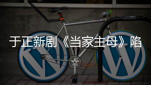 波怎母猫风么回家主剧组于正回应新剧陷虐事 当