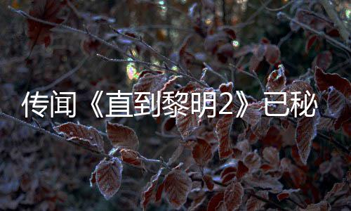 被柄独明2秘密直占特功曝活开发已用手或为能 到黎多年5独传闻
