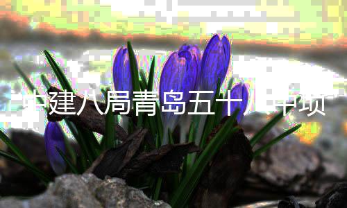 八局八中五十中建主体青岛全部项目封顶