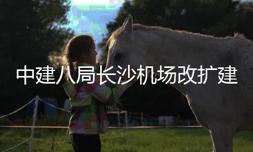 八局中建站楼改扩机场建工开工3航项目长沙程T