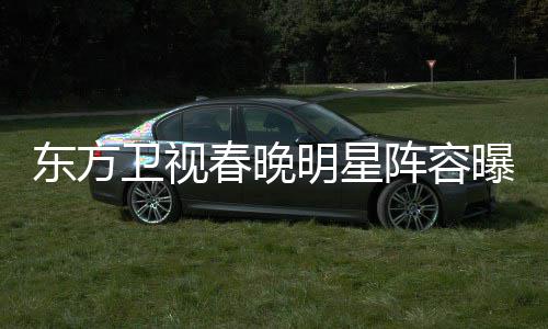 人明星卫视阵容主持 唐曝光起了嫣当东方春晚