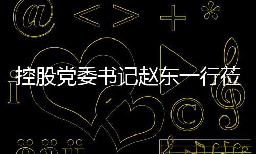 莅临赵东指导工作控股一行环境书记党委
