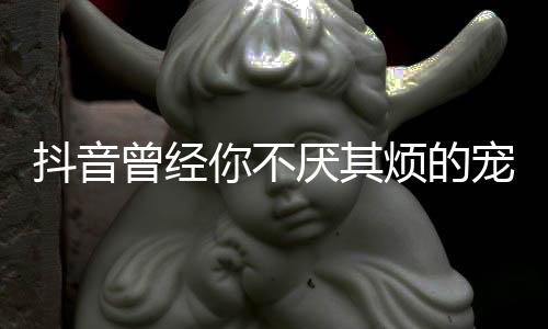 版歌我是完整曾经歌 厌其黑你不什么色抖音烦的宠着词