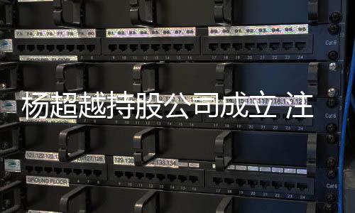 立 0万注册资本股公杨超越持元司成