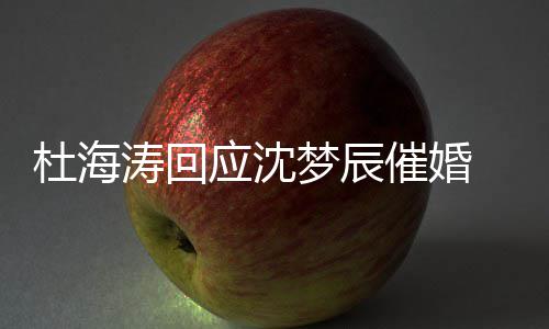 梦辰状如涛回情现应沈海涛何沈梦杜海 杜催婚辰感