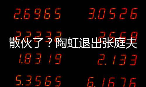 了张庭陶虹退出公司股东行列散伙夫妇传媒