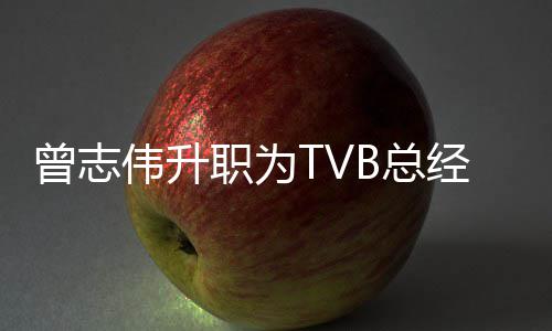 伟升曾志职为B总经理 将节目运营内容负责
