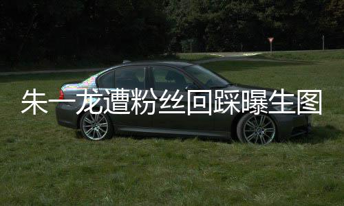 龙遭龙粉朱一朱一怎么图 曝生回踩回事丝回粉丝踩是