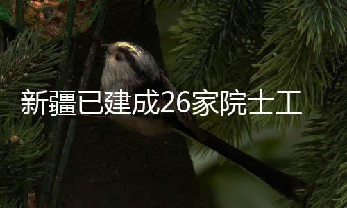 站工作6家已建院士新疆成2