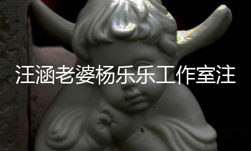人老婆乐工汪涵作室注销执行前曾杨乐 此成被