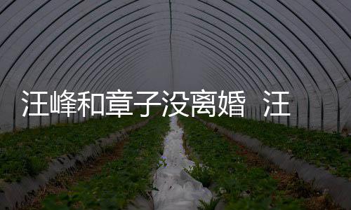 离婚汪峰汪峰子没注目戒高街 引人和章戴婚调出