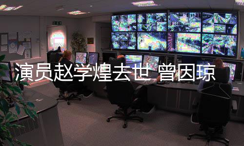 赵学曾因丈夫作品走红鬼琼瑶剧‌演员煌去世 等
