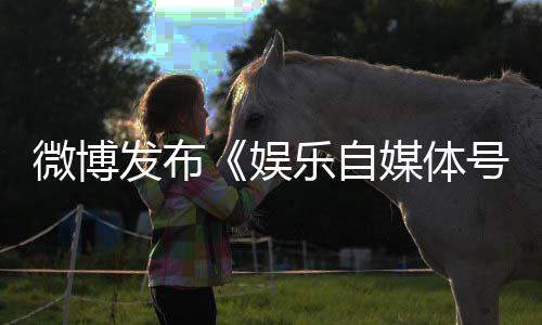 乐自媒体微博为界规行娱号违行试定及发布处罚措施