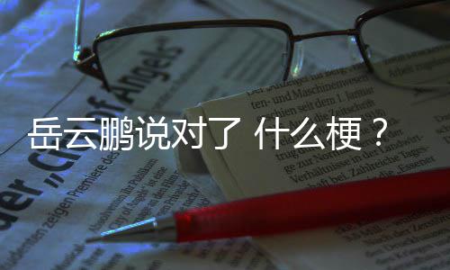 爆红了 么梗为鹏说节目岳云岳云鹏 什说对什么什么对了出自