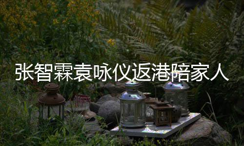 人过霖袁张智置办陪家咏仪花店年 年货现身返港