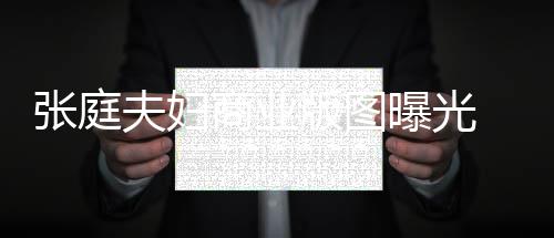 版图林瑞联6张庭 张庭相关公曝光家 9家阳关商业司有夫妇