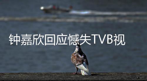 没所谓 钟嘉继续应憾努力欣回失T视后谁得奖