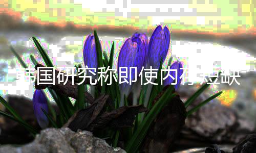 缺缓解 价格降研究也不韩国会下内存使内称即存短