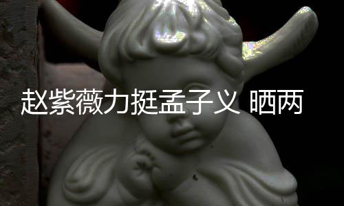 两人聊天薇力未撒赵紫子义证其挺孟截图谎 晒