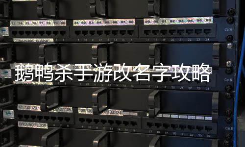 名字怎么字攻略改名鹅鸭 鹅游改鸭杀杀手手游