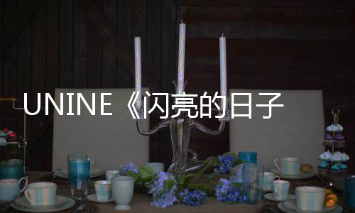 日子亮的么 完子整版歌词歌词介绍闪亮是什闪的日