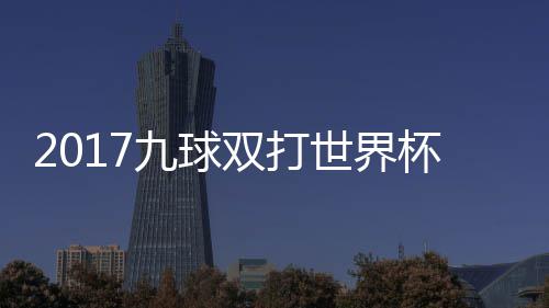杯录比赛美国之一九球像 双打世界四分视频芬兰