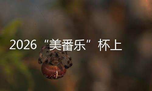 杯美满落幕围棋锦标行区上海市闵赛圆番乐